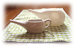 写真の説明を入れます