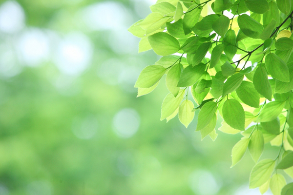 プラーナーヤーマ(ヨーガ呼吸法)実践講座